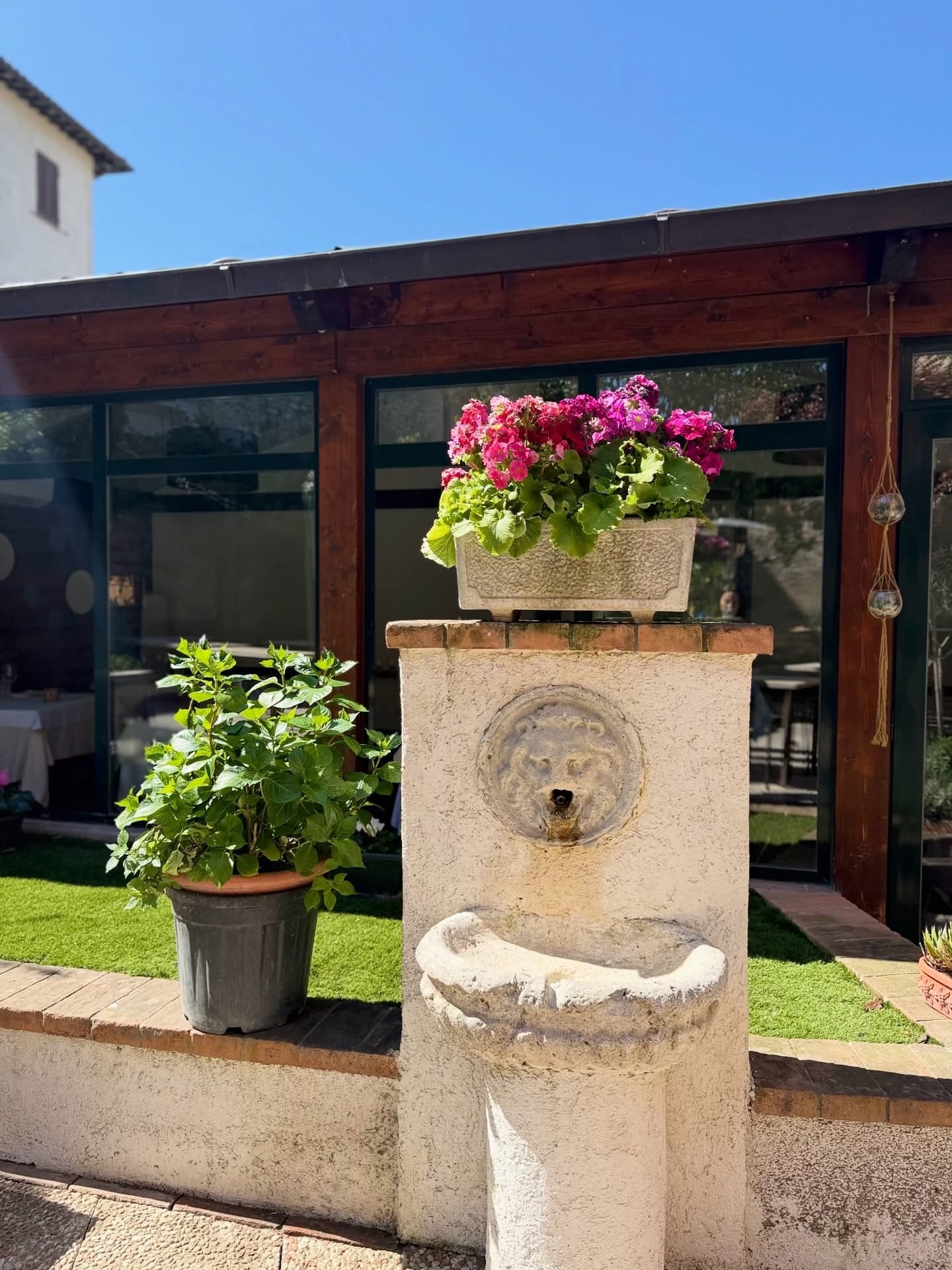 La fontanella di pietra della corte, col mascherone e i fiori