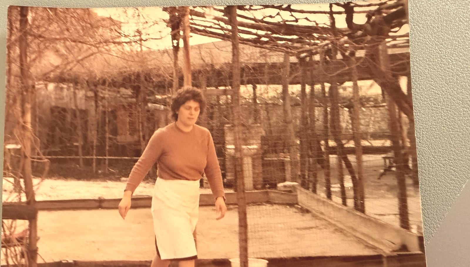La signora del circolo, con lo zinale bianco, nel giardino della trattoria, foto d'epoca